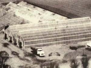 1967: Tagawa Greenhouse opens