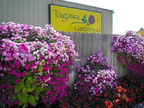 1982: Tagawa Gardens Opens