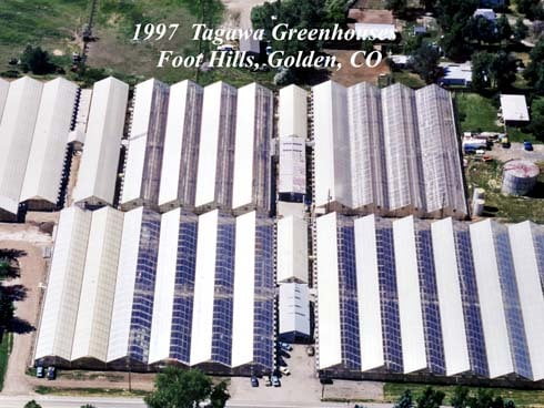 1997: Tagawa Greenhouse (Foothills) Opens