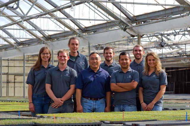 Building success at Tagawa Greenhouses