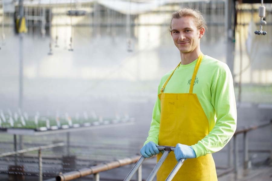 2020 Tagawa Greenhouse intern Sherman Hartman named the 2021 Paul Thomas Floriculture Production Intern of the Year